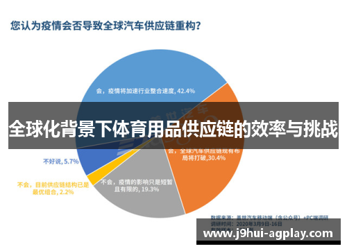 全球化背景下体育用品供应链的效率与挑战